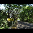 Dass sich hier Elefanten herumtreiben, ist glaubwürdig